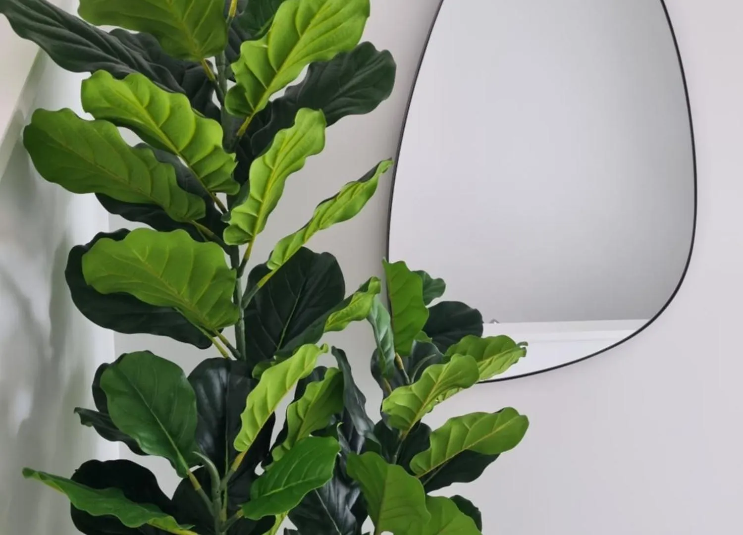Cloud Nine Elegant Escape Awaits Apartment Christchurch